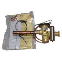 ye様 2024 Kawasaki ZX1002, M | JKBZXVM16RA007423 | Bid History