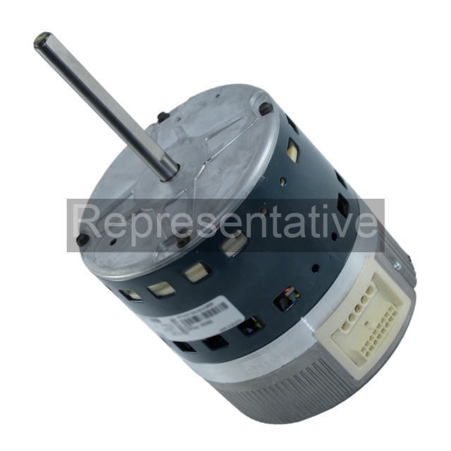 B03811_MTR_REP.jpg