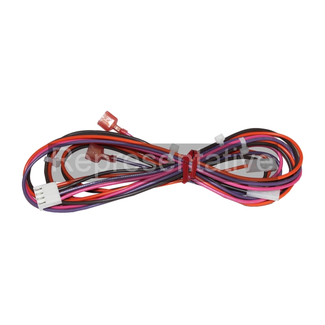 Harness_REP_005.jpg