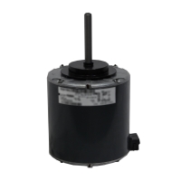 HC41AE231_001.jpg