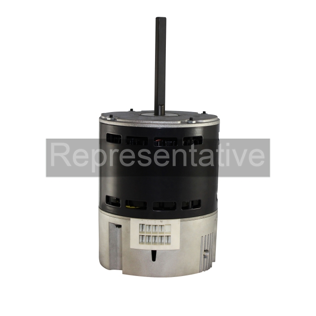 P257-FLEX1375_001.jpg